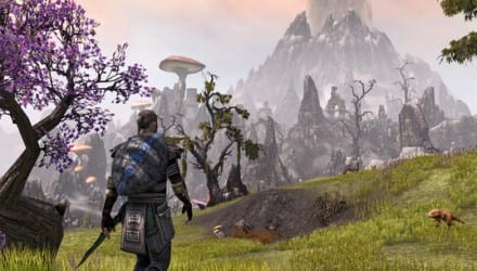 Elder Scrolls Online: Zenimax convida jogadores do Beta à retornarem