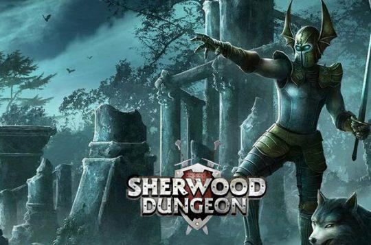 Sherwood Dungeon 3D MMO RPG – Apps no Google Play