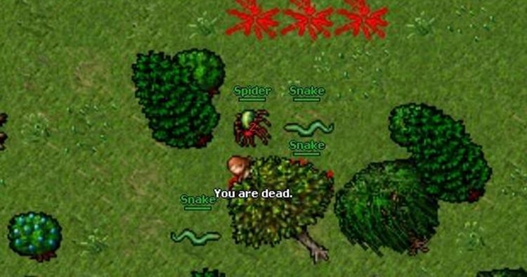 1,3 bilhão de XP perdidos: Jogador top mundial sofre maior perda de XP da história do Tibia em morte trágica